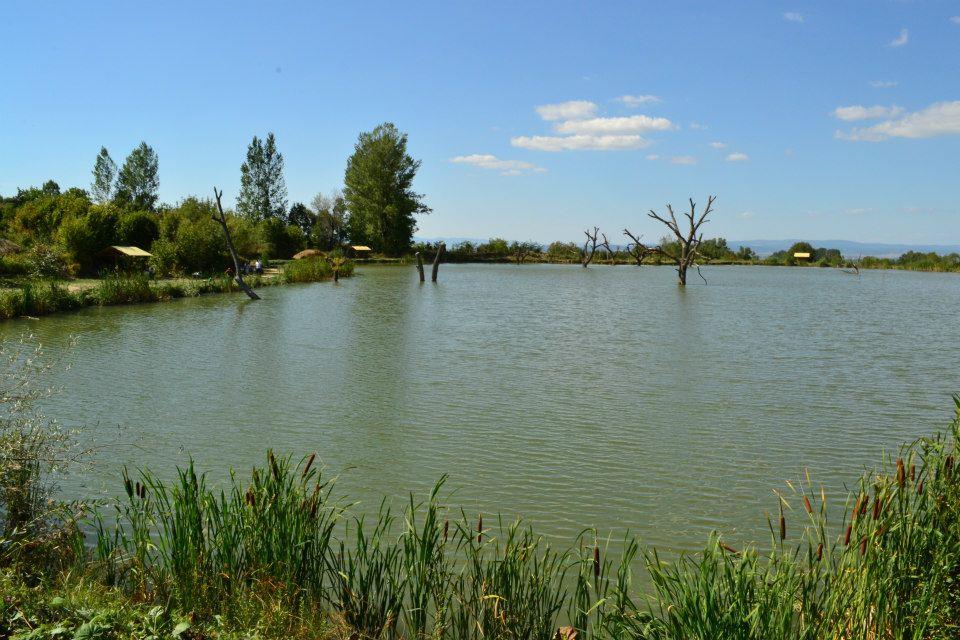 Balta Valea Morii Budila - 300060_100694426767228_1391247360_n.jpg